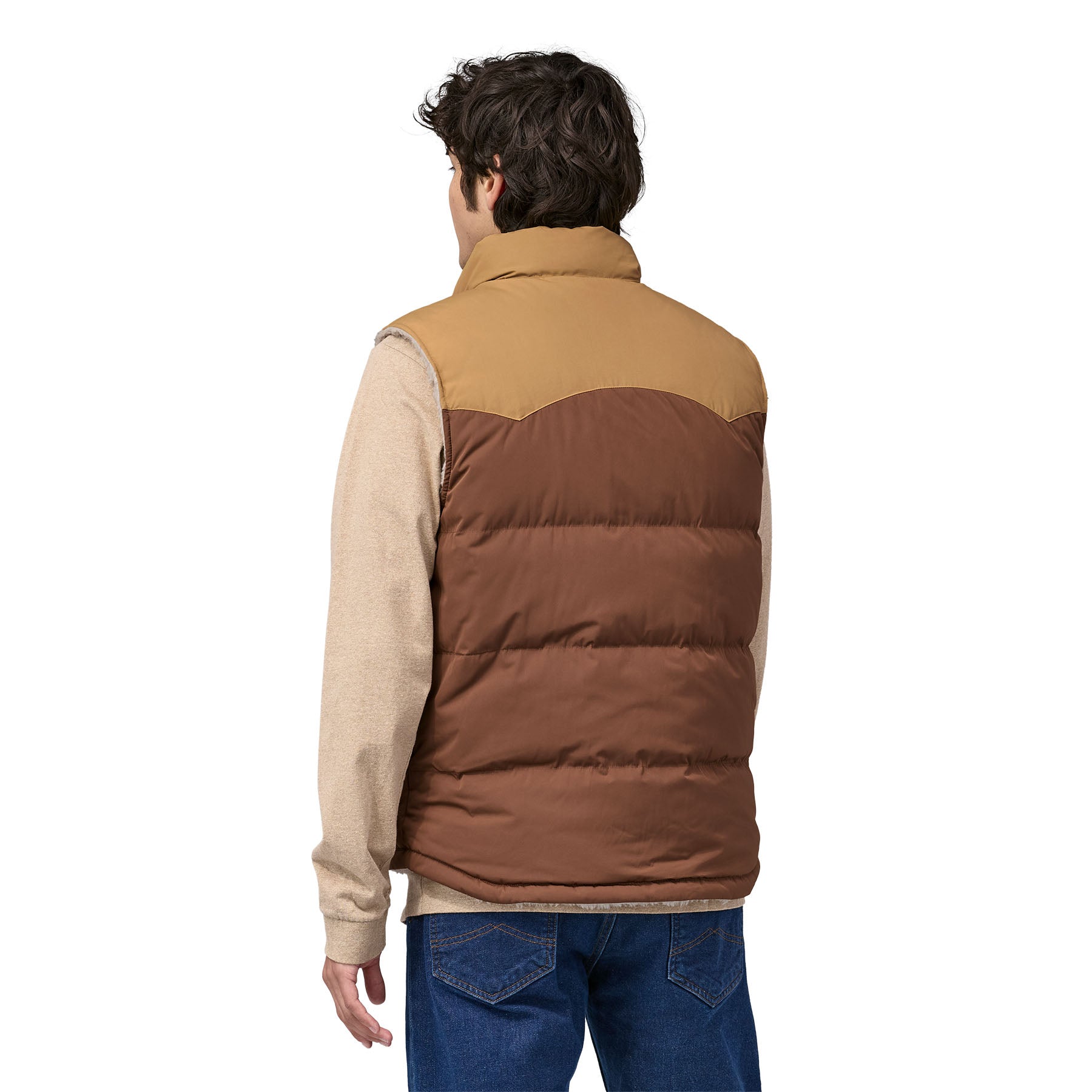 Patagonia mens outlet bivy down vest