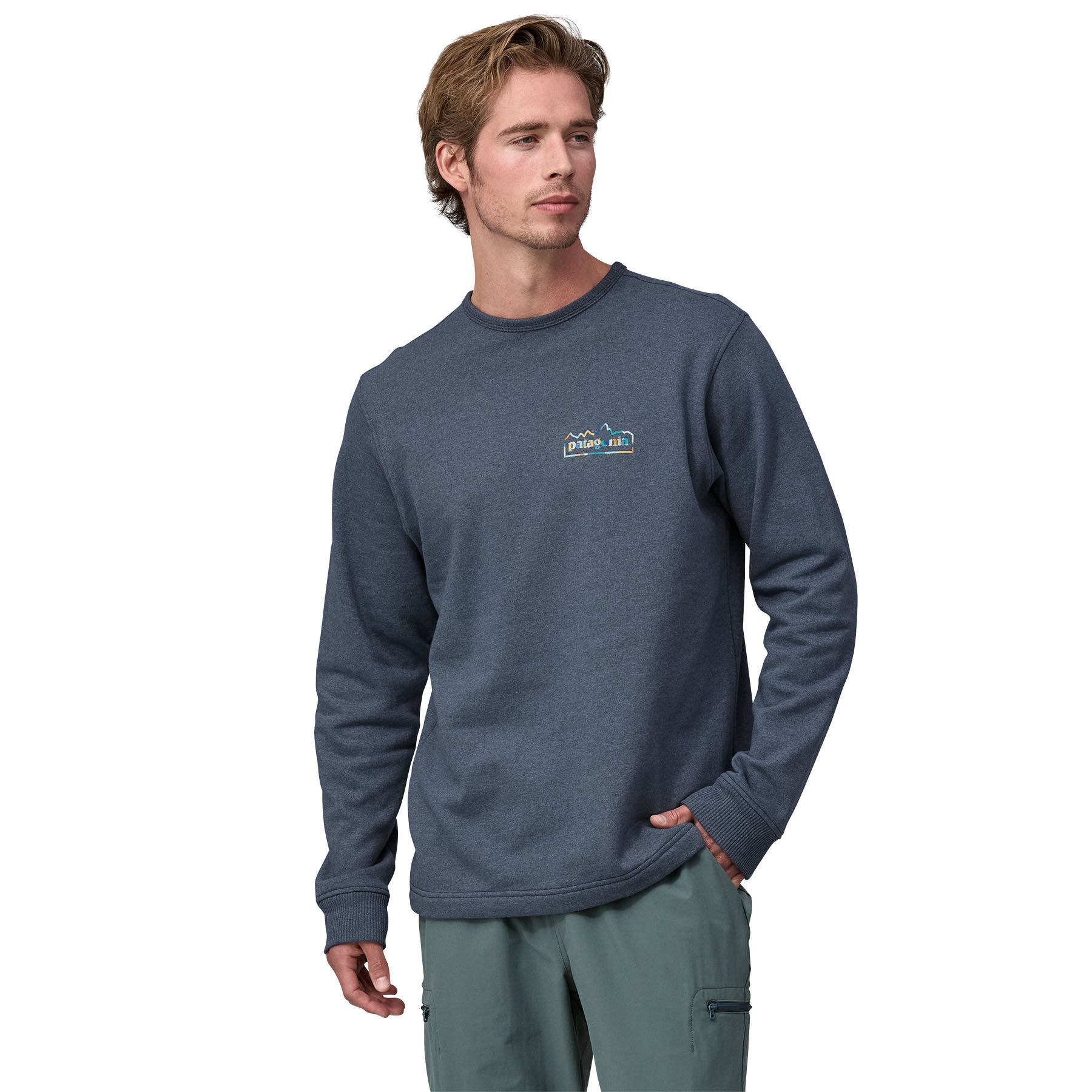 Patagonia men's fitz roy hex lightweight crew sales sweatshirt